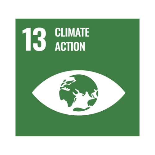 13-climate-action